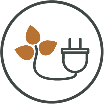 Illustration Biomasse